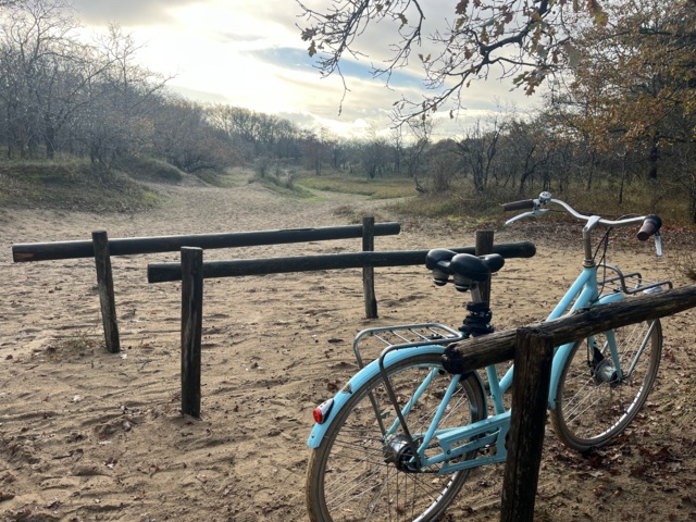 mijn fiets in de kennemer duinen